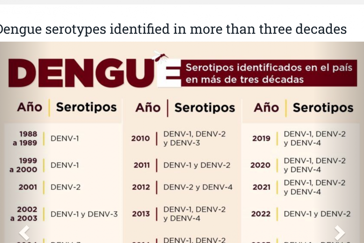 Paraguay's Dengue Outbreak Now Includes DENV-3 — Vax-Before-Travel